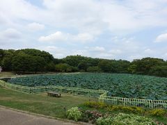 -大阪市立自然史博物馆
