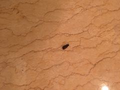 -太湖湾开元名庭大酒店