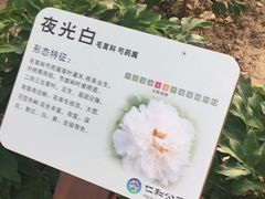 -仁和公园(顺义区)