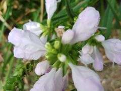 -杭州城北体育公园