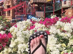 -亚特兰蒂斯水世界冒险乐园