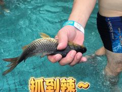 -清泉湾生态旅游度假区