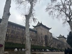 -武汉大学-樱园