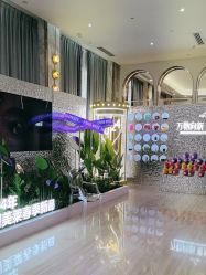 -深圳美莱医疗美容医院