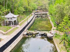 -白水寺森林公园