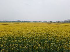 -中国天府农业博览园