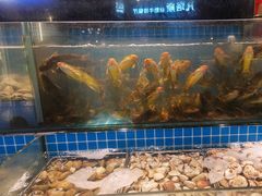 -鹿客臻鲜海鲜自助餐厅(永旺店)