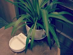 -杭州金马国际酒店