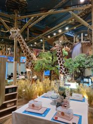 -卡通尼·Safari非洲探索乐园·生日会(金桥国际商业广场店)