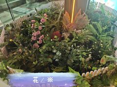 -丽江三义国际机场