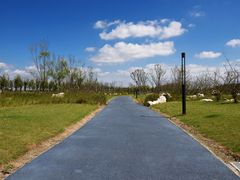 -春花秋色城市公园