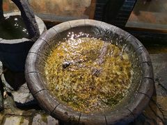 -老唐三下锅 ·张家界地标美食(溪布街店)