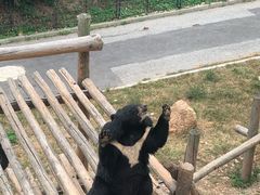 -大连森林动物园