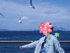 -星海湾跨海大桥