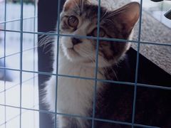 -瘾咖啡(江北21号住宅小区店)