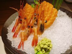 -山葵家·创意料理(EFC欧美广场店)