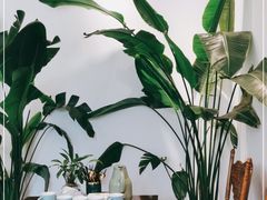 -隐食餐厅(金水湾公馆店)