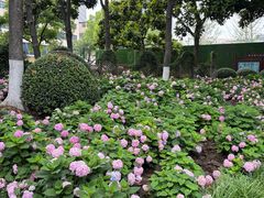 -常州古运河南大街文化旅游区-人民公园