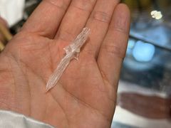 -土砂锅生态山庄·非遗砂锅雅鱼