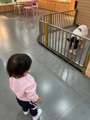 -Moni星球萌宠·小马宝莉·灵蛇·高端高阶全萌宠互动体验俱乐部(红豆国际广场店)