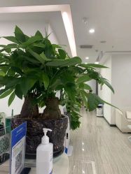 -悟空祛痘·亚健康皮肤管理中心