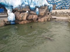 -华夏文旅西安度假区