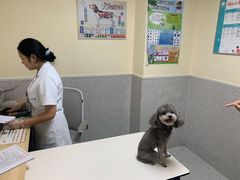 -谐和贝康宠物医院24小时·宠保定点(急重症转诊中心)