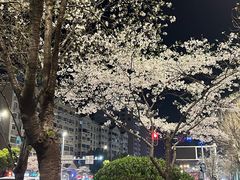 -华中科技大学光谷体育馆