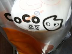 -CoCo都可(118广场店)
