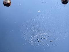 -黑油山景区