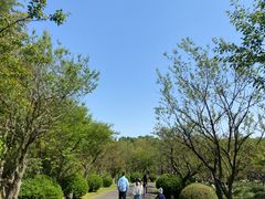 -上海海湾国家森林公园