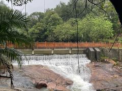 -广州白江湖森林公园