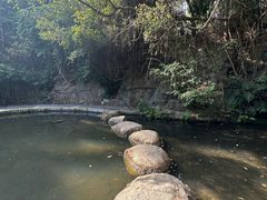 -燕晗山郊野公园