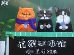 -有猫主题·治愈系猫咖(曾厝垵店)