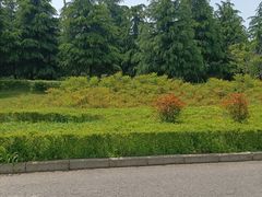 -洨河生态公园