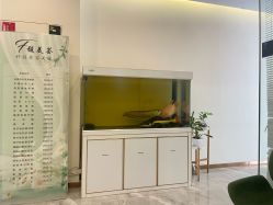 -FUMEIHUI·科技美肤·美体SPA