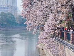 -红星桥(地铁站)