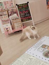 -Beauty Nails 美甲美睫皮肤管理