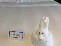 -三亚亚龙湾希尔顿酒店