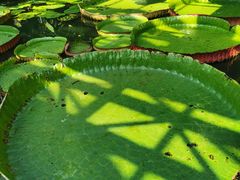 -北京植物园南门售票处