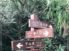 -雁荡山风景名胜区-朝阳洞