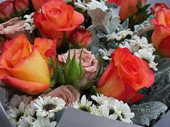 -循礼门鲜花花市(武汉循礼门店)