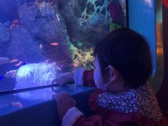 -沈阳海洋探索中心