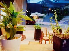 -MUSEE CAFE(保利·时光里店)