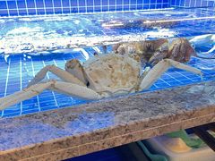 -鼎泰亨·海鲜牛肉餐厅(滨江店)
