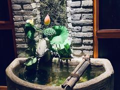 -鱼桥巷·美学川菜