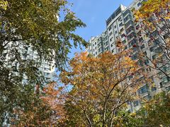 -COSTA COFFEE(哈尔滨凯德学府店)