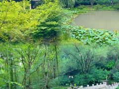 -南山风景名胜区