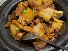 -鸽小宝(深圳首店)