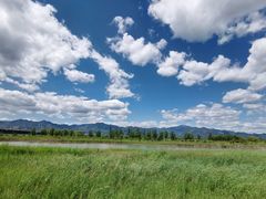 -野鸭湖国家湿地公园